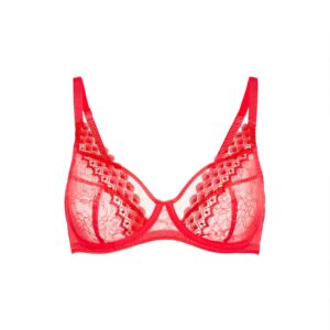 Simone Perele Radieuse lace bra
